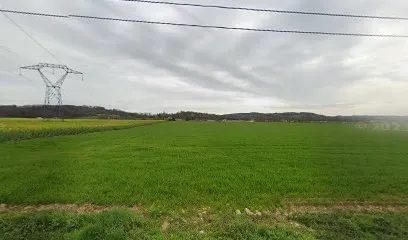 Image de Dechenaux Christophe