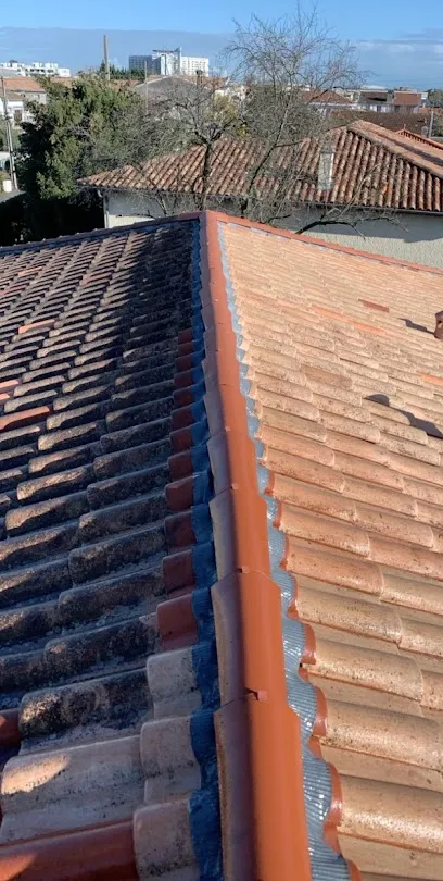 Image de Delage couverture 33