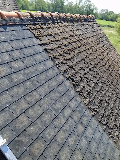 Image de Delsuc couverture