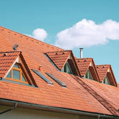 Image de Demoussage Toiture Pro Couvreur Tarn