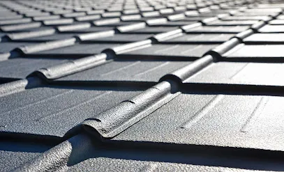 Image de 🏠 Démoussage Toiture