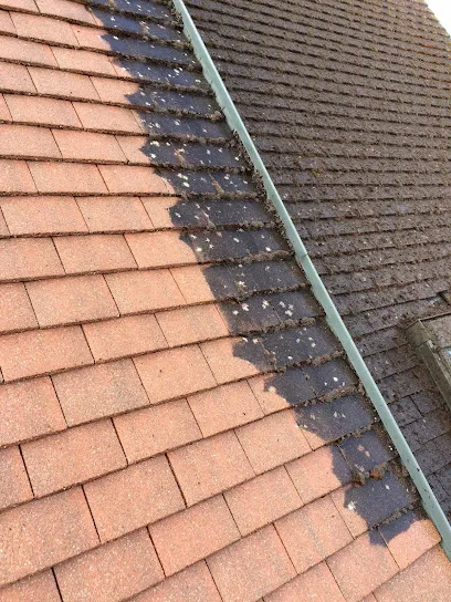 Image de DJN toiture - couvreurs fuite réparation, toiture nettoyage, toiture