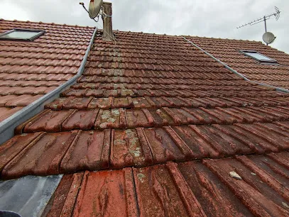 Image de DS Couverture