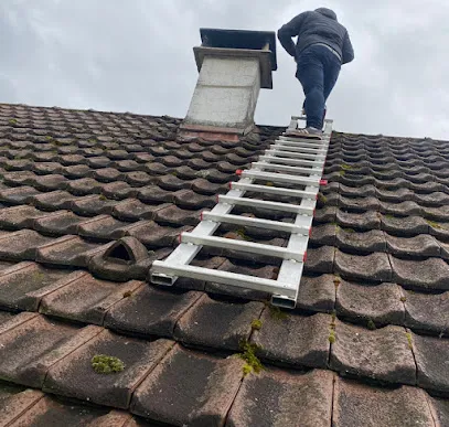 Image de Ent légère stephane / LSN couverture