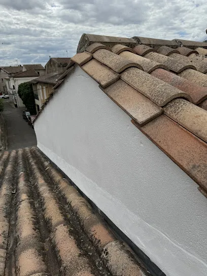 Image de Entretien toit