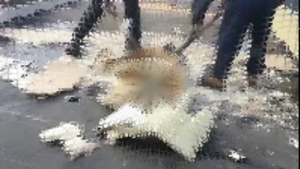 Image de Flat roof étanchéité