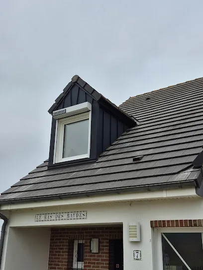 Image de Follet Couverture