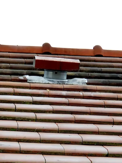 Image de Forest Serre