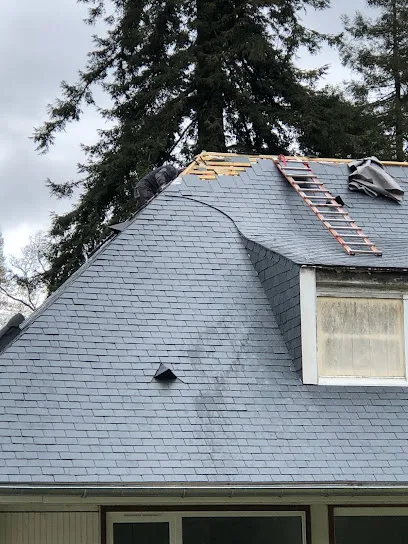 Image de GENERAL EDIFICE DUBOIS: Artisan couvreur, réparation fuites toiture couverture démoussage à Paris 16 17 18 Suresnes Puteaux