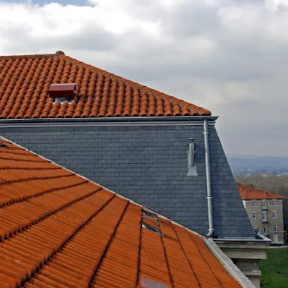 Image de HENRI GERMAIN (Couvreur, Zingueur)