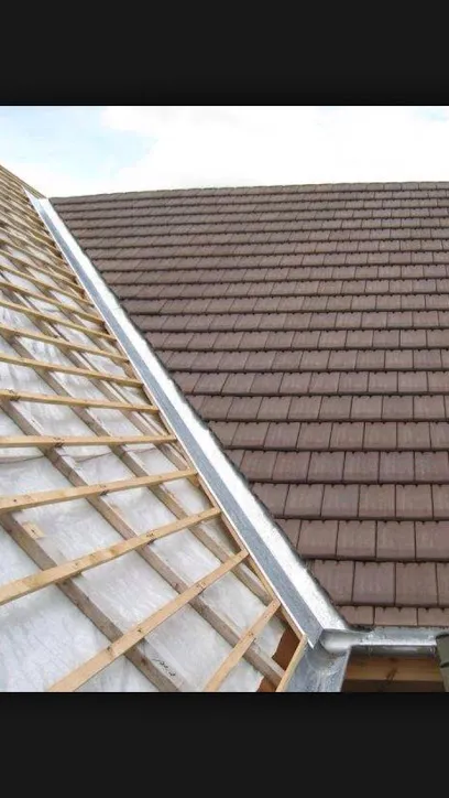 Image de Hjc Couverture Intervention Sous 24 Heures Fuite Toiture Nettoyage Gouttière Pose De Velux Et Réfection De Toiture Intégral