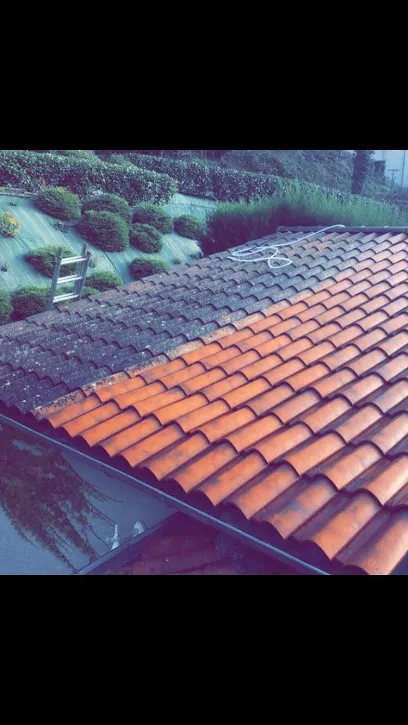 Image de Isère Traitement Toitures Nord Nettoyage Demoussage de vos toits