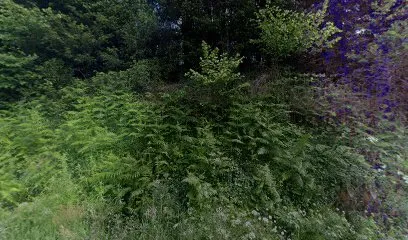 Image de JEGO COUVERTURE