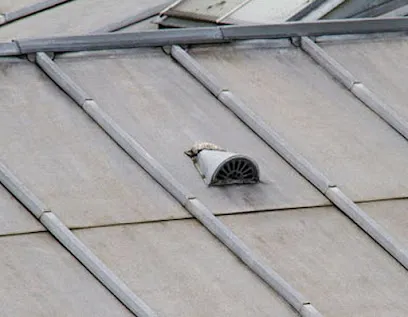 Image de Kubiak Pascal