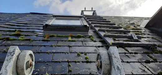 Image de Lagrene couverture