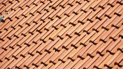 Image de Lamisse couverture