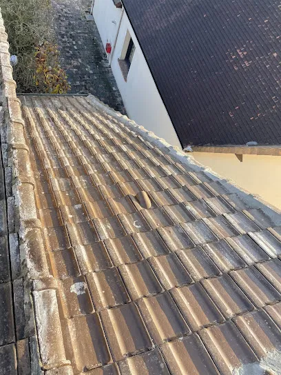 Image de Le compagnon de la toiture