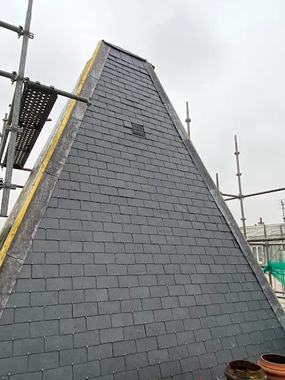 Image de Le Couvreur De Paris