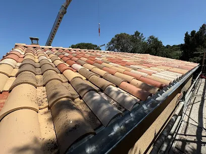 Image de Le Couvreur Insulaire