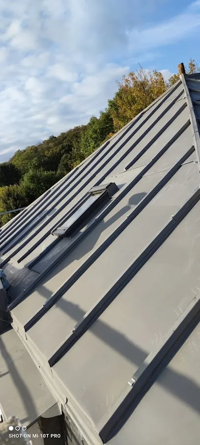 Image de Le prince couverture-zinguerie