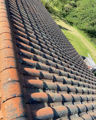 Image de Le Professionnel de la Toiture