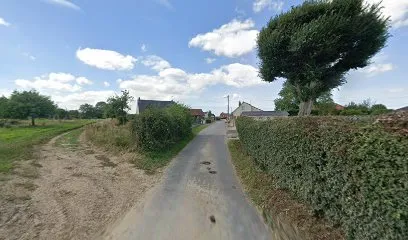 Image de Lecerf couverture