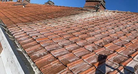 Image de Les Compagnons Sage couverture