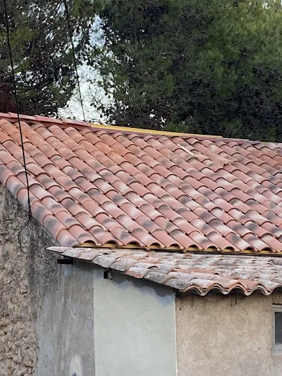 Image de Les couvreurs d'Auvergne