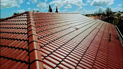 Image de Les couvreurs parisiens