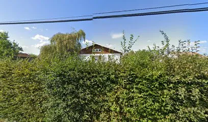 Image de Les couvreurs vosgiens