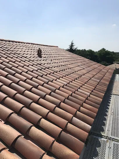 Image de Les Toits Toulousains