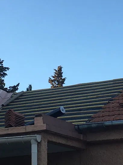 Image de Les toitures du sud