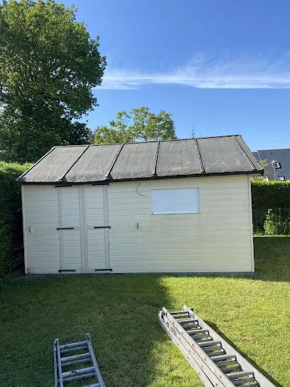 Image de Lion couverture