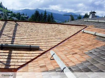 Image de M.VISE Artisan Haute-Savoie Travaux de zinguerie 74, Peinture sur tuile 74, Annemasse, Pose de velux