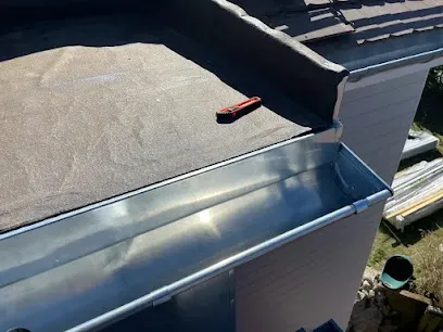 Image de Max Couverture