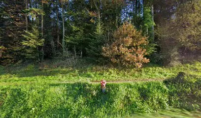 Image de Milin Couverture