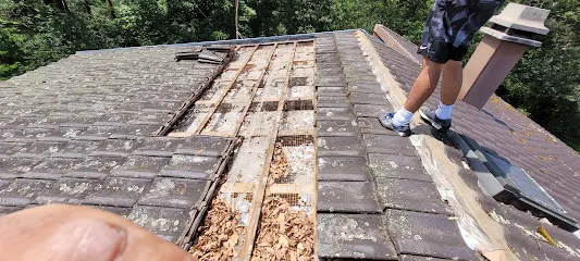 Image de MV Couverture 67