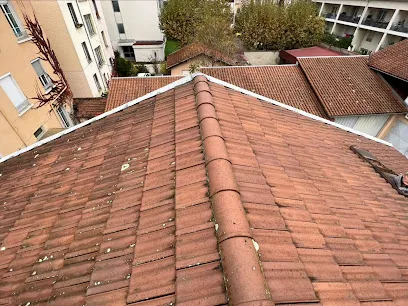 Image de N.A.C / Couvreur / charpentier / zingueur / Salaise sur sanne 38