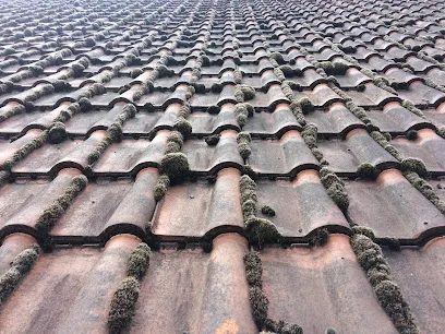 Image de Nettoyage Toiture Malvoisin