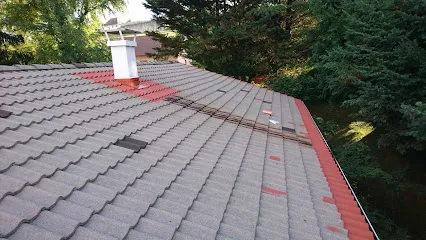 Image de Nicolas rénovation - Nettoyage de toiture aux Abrets, et Voiron en Isère