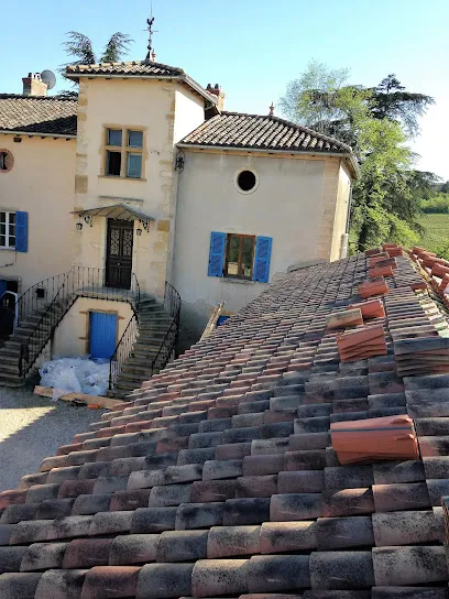 Image de niko toiture nettoyage démoussage peinture hydrofuge toussieu feyzin mions