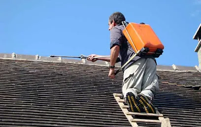 Image de Noel Keller Couverture Charpente