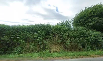 Image de NOURY Florian