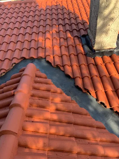 Image de Paulo Clement