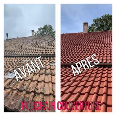 Image de Pouchain couverture