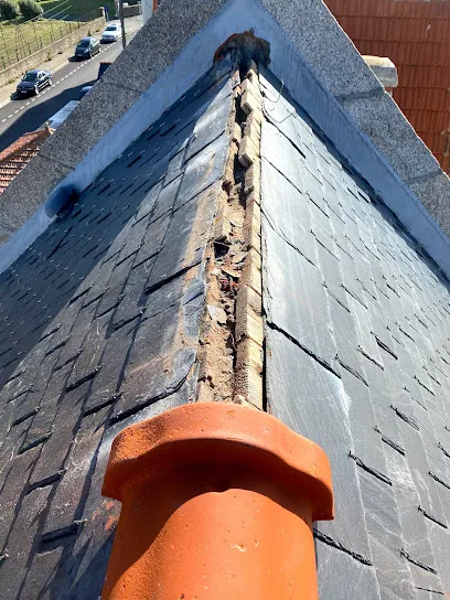 Image de Pronet Toit Couverture à Languidic