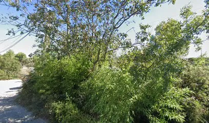 Image de Provence Couverture