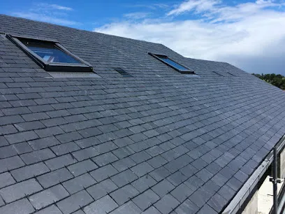 Image de R.O.C Couverture