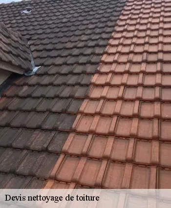 Image de Raphael Roger : couvreur charpentier 69 à Lyon