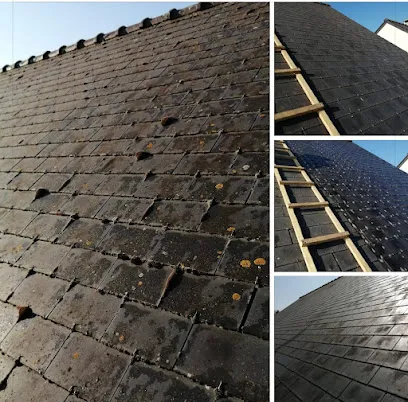 Image de Raulais Entrepreneur Coolroofing Démoussage traitement de toiture & nettoyage façade